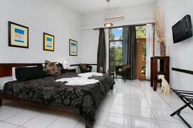 Daintree Wild Bed & Breakfast
