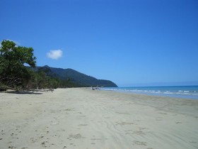 The Epiphyte Bed & Breakfast