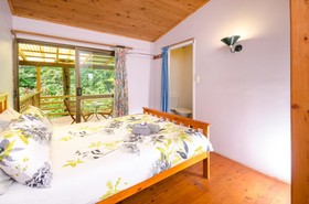 The Epiphyte Bed & Breakfast