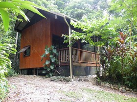 The Epiphyte Bed & Breakfast