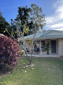 Esk Mountain View Lodge