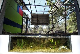 The Feathered Nest - Luxury Wildlife Retreat