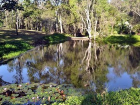 The Feathered Nest - Luxury Wildlife Retreat