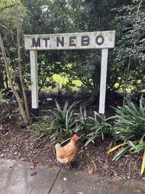 Mt Nebo Railway Carriage And Chalet