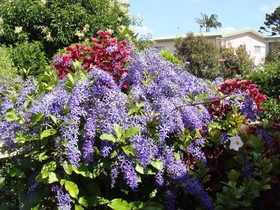Camelot Boutique Accommodations