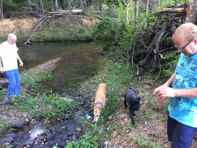 Cooroy Country Cottages
