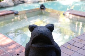 Hibiscus Resort and Spa