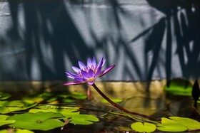 Uyoung Diving Resort