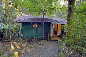 Springbrook Lyrebird Retreat