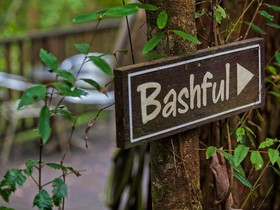 The Mouses House Rainforest Retreat
