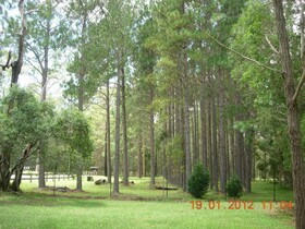 Bodhi Chan Mediatation Centre