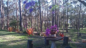 Bodhi Chan Mediatation Centre