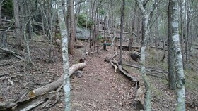 Bodhi Chan Mediatation Centre