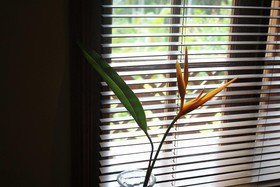 Sunshine Valley Cottages