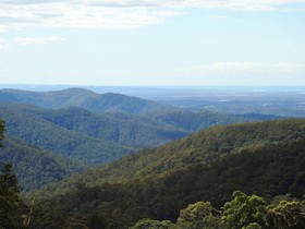 The Tamborine