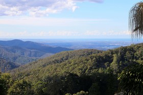 The Tamborine