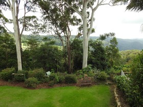 The Tamborine
