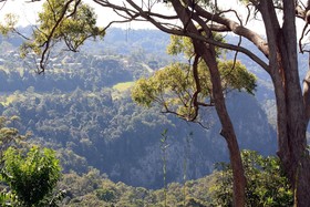 The Tamborine