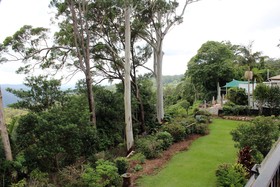 The Tamborine