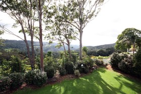 The Tamborine