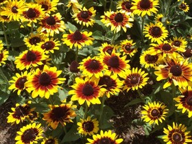 Eastgate Motel on the Range