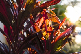 Mercure Hotel Townsville