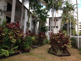 Palms At Trinity