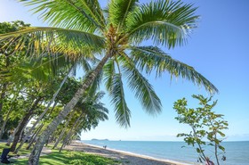 Roydon Beachfront Holiday Apartments
