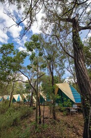 Discovery Resorts - Undara