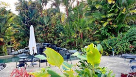 Daintree Beach Resort