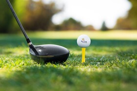 Par Five Shacks