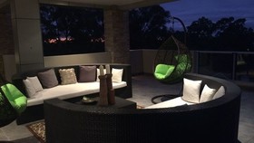 Hollywood Tree House