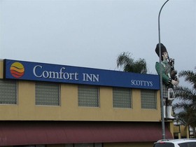 Scottys Motel
