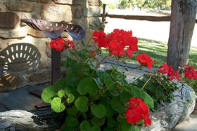 Adelaide Hills Country Cottage