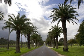CANVS by CABN Seppeltsfield Barossa