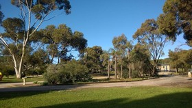 CANVS by CABN Seppeltsfield Barossa