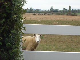 Little Sunnyside Accommodation