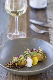 Yarra Valley Lodge