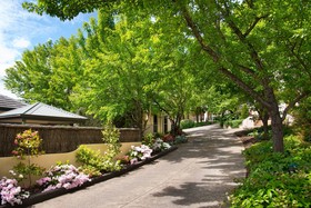 Courthouse Villas