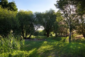 Della Fonte
