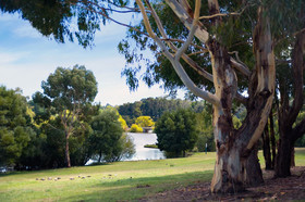 Lake Daylesford Lodge