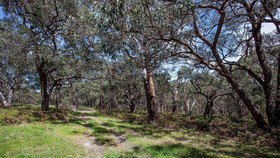 Red Hill Ridge