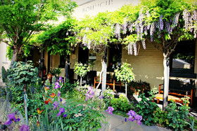 Cocknbull Boutique Hotel