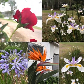 Eildon Pondage Holiday Park