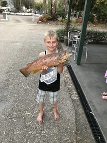 Eildon Pondage Holiday Park