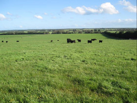 Doro Tourist Farm
