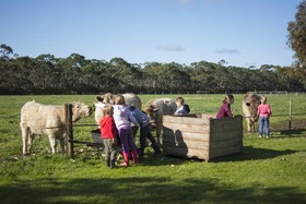 Freshwater Creek Cottages