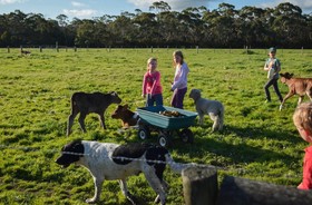 Freshwater Creek Cottages