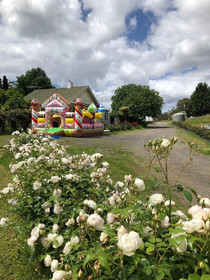 Golden Village Farm