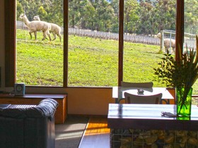 Valley Farm Vineyard